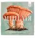 Міцелія (Mycelia)
