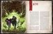 Поклик Ктулху. Жахіття за брамою (Call of Cthulhu: Gateways to Terror) від 6 шт