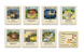 CATAN. Мореплаватели (Seafarers)
