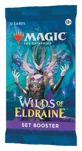 Бустер выпуска Set Booster Wilds of Eldraine Magic The Gathering АНГЛ