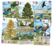 Лісова метушня. Альпи (Forest Shuffle: Alpine Expansion)