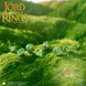 Набор кубиков The Lord of the Rings: Shire Dice Set
