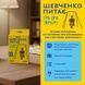 Мінігра Шевченко питає