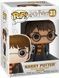 Гарри Поттер с cовой- Funko Pop Harry Potter #31: Harry Potter